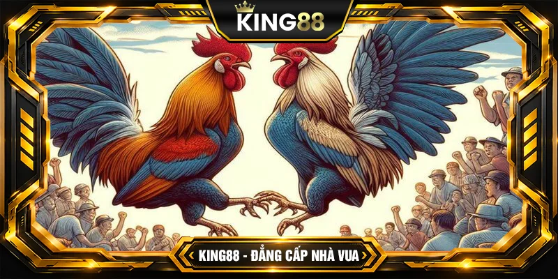 Cách Đá Gà SV128 King88