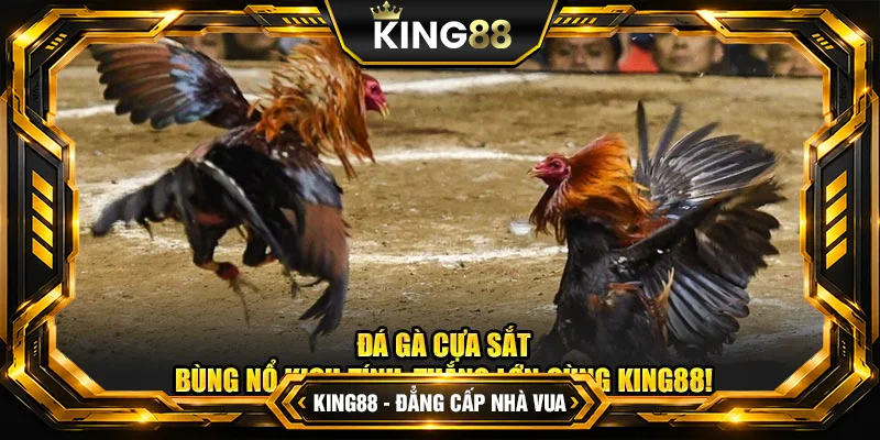 Kinh Nghiệm Bắt Kèo Đá Gà Cựa Sắt Nắm Chắc Phần Thắng tại King88
